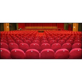 Poltrona sedia seduta da teatro cinema